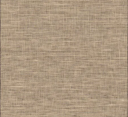 Behang Arte Essentials Les Naturels La Raphia Tisse Black Natural 26744