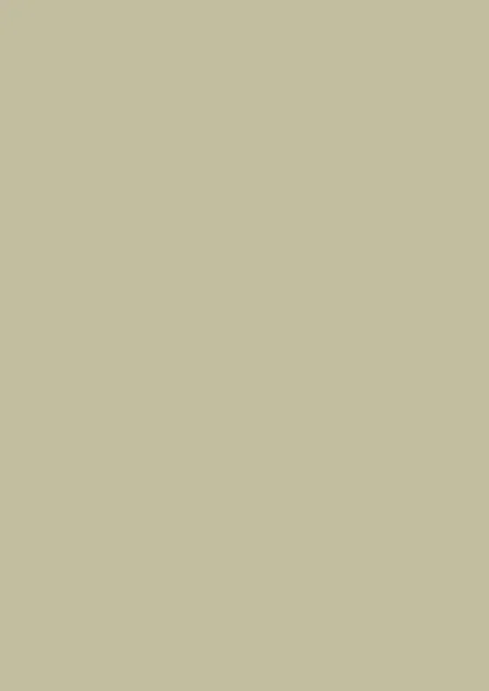 Farrow & Ball Ash Grey (W9)