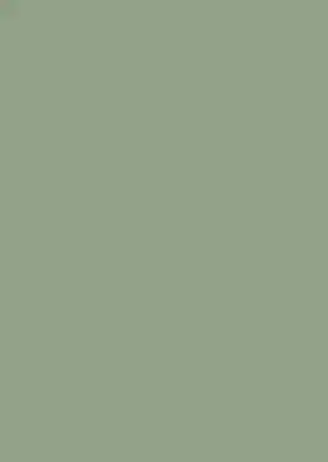 Farrow & Ball Breakfast Room Green (81) 1