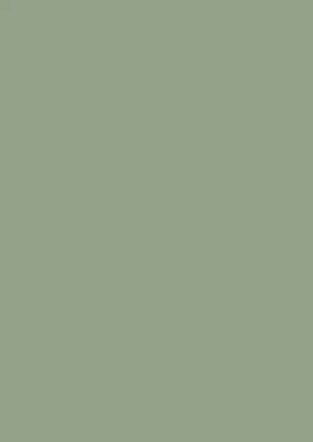 Farrow & Ball Breakfast Room Green (81)