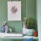 Farrow & Ball Breakfast Room Green (81) 2