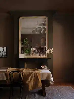 Farrow & Ball Broccoli Brown (198) 3