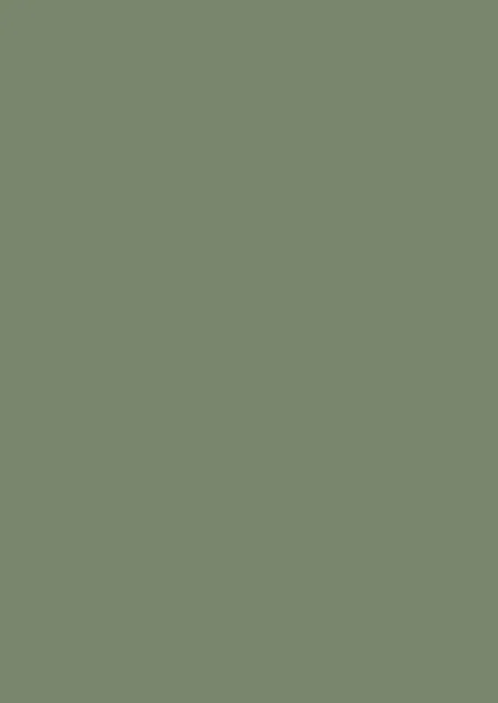 Farrow & Ball Calke Green® (34)