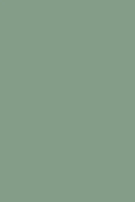 Farrow & Ball Chappell Green® (83) - Archiefkleur