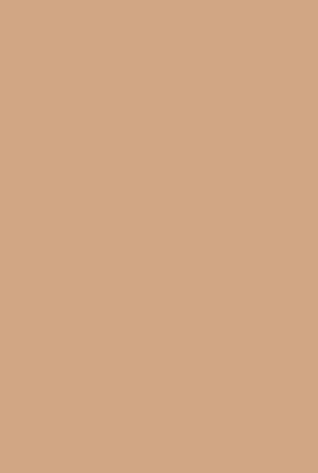 Farrow & Ball Fake Tan (9912) - Archiefkleur