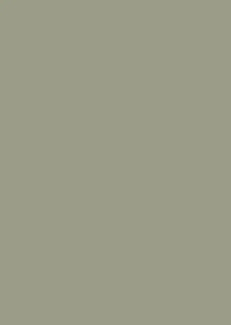 Farrow & Ball Lichen (19)