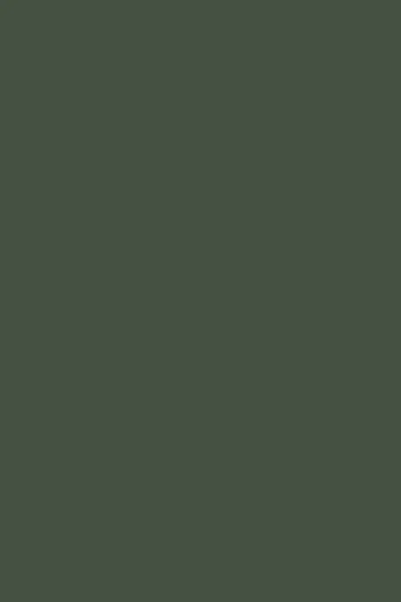 Farrow & Ball Minster Green (224) - Archiefkleur