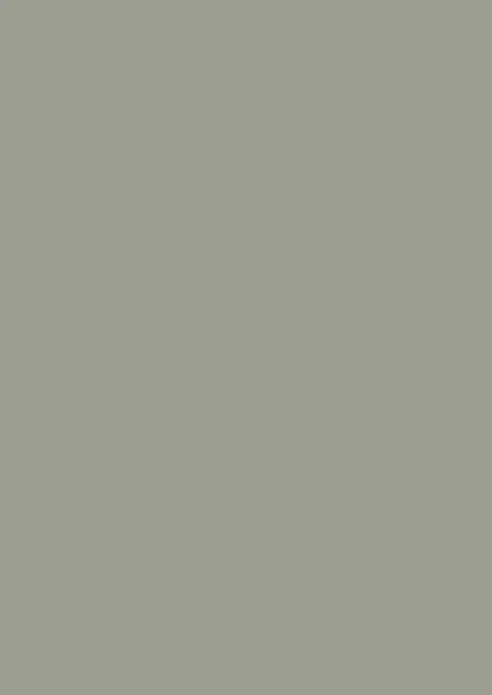 Farrow & Ball Pigeon (25)