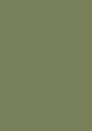 Farrow & Ball Sap Green (199) 1