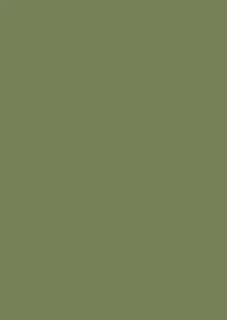 Farrow & Ball Sap Green (199)