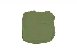 Farrow & Ball Sap Green (199) 4