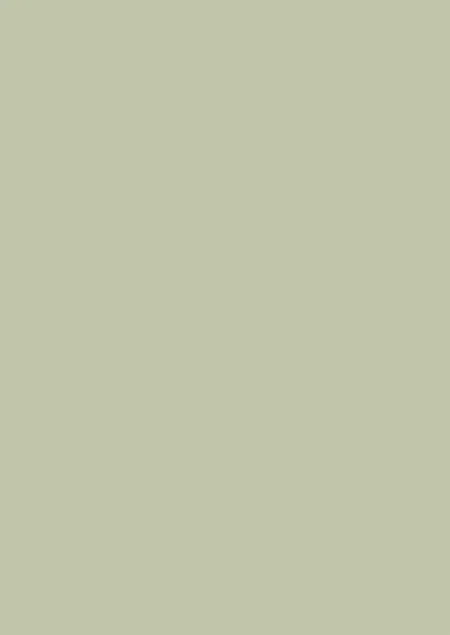 Farrow & Ball Vert De Terre® (234)