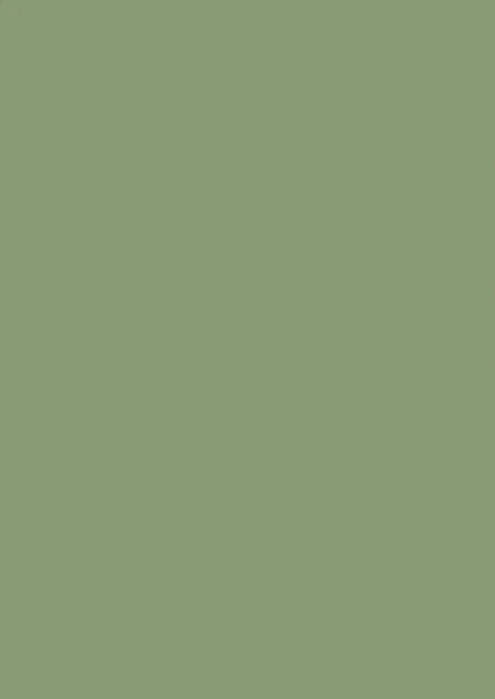 Farrow & Ball Yeabridge Green (287)