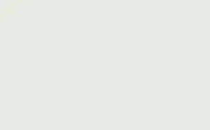 Little Greene Acrylic Primer Pearl Colour - Pale 167 1