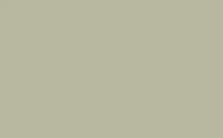 Little Greene Acrylic Primer Tracery II 78