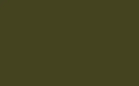 Little Greene Traditional Oil Primer Olive Colour 72