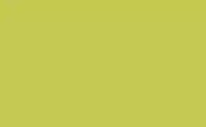 Little Greene Traditional Oil Primer Pale Lime 70 1