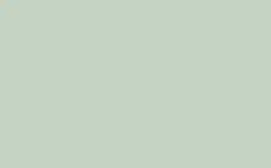 Little Green Intelligent Exterior Eggshell Salix 99 1