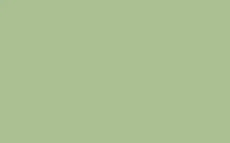 Little Greene Tom's Oil Eggshell Pea Green 91