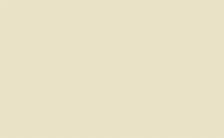 Little Greene Tom's Oil Eggshell Silent White - Deep 331