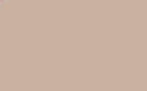 Little Greene Absolute Matt Emulsion China Clay - Dark 178 1