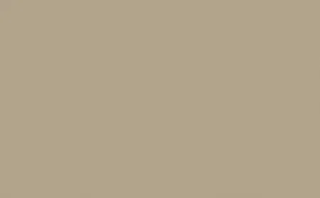 Little Greene Absolute Matt Emulsion Rolling Fog - Dark 160