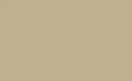 Little Greene Absolute Matt Emulsion Roman Plaster 31