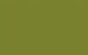 Little Greene Floor Paint Citrine 71 1
