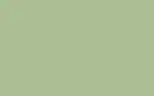 Little Greene Floor Paint Pea Green 91 1