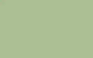 Little Greene Floor Paint Pea Green 91 1