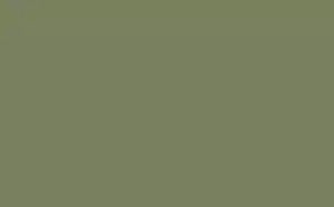 Little Greene Floor Paint Sage Green 80 1