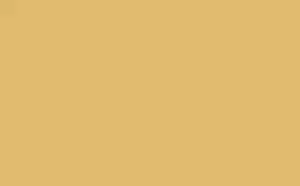 Little Greene Intelligent Floor Paint Light Gold 53 1